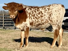 JPL Just Feel The Drop