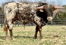 JPL More Than A Feelin'